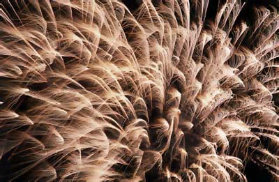 fireworks